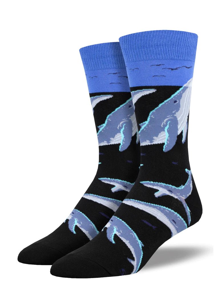 Whale Watching | Men | Black - Socks - Socksmith