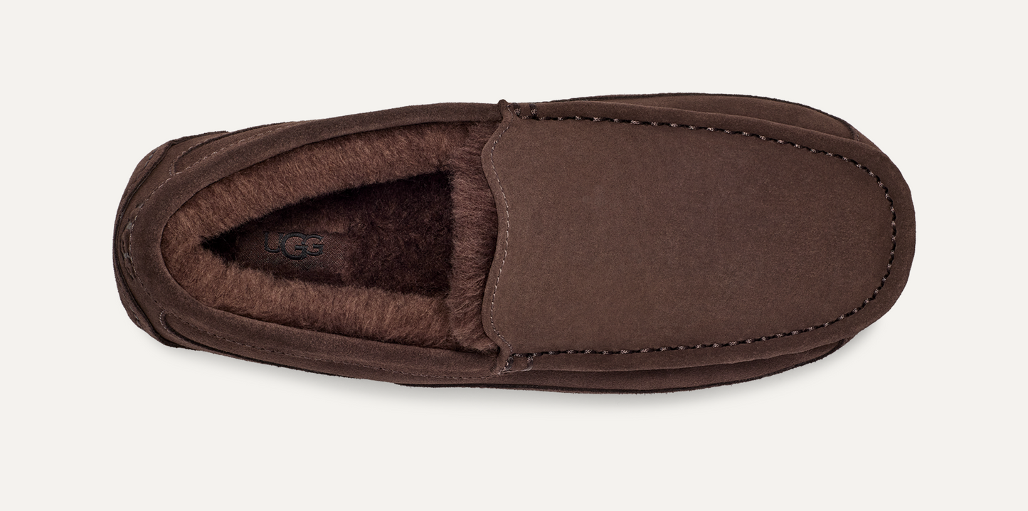 Ascot | Men | Suede | Dusted Cocoa