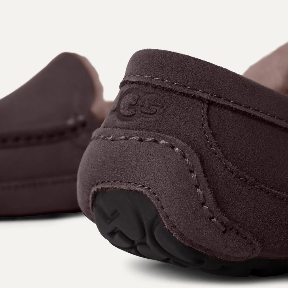 Ascot | Men | Suede | Dusted Cocoa - Slipper - UGG