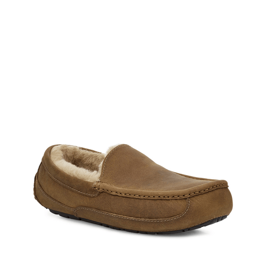 Ascot | Men | Suede | Tan - Slipper - UGG