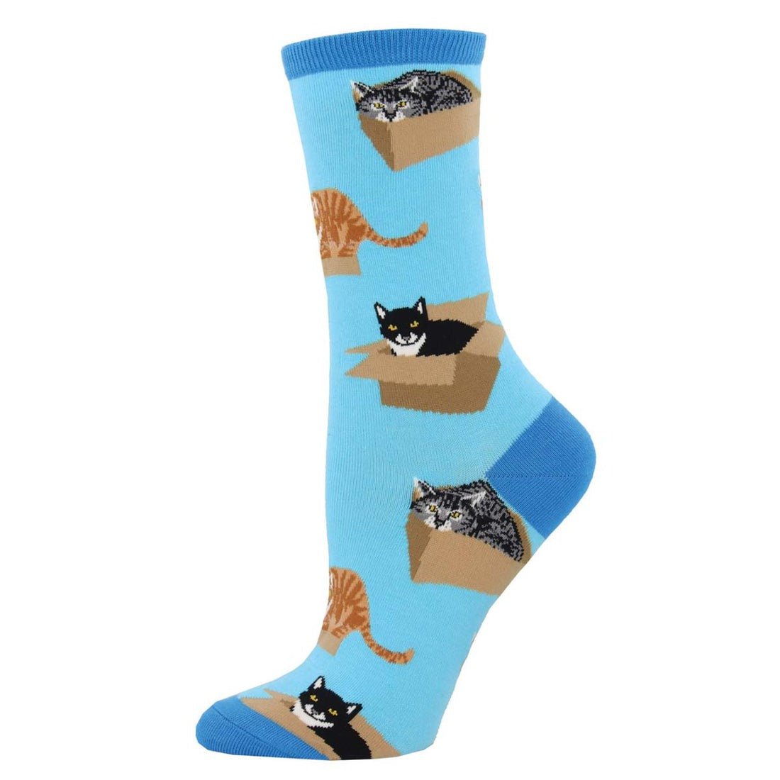 Cat In A Box | Women | Azure - socks - Socksmith