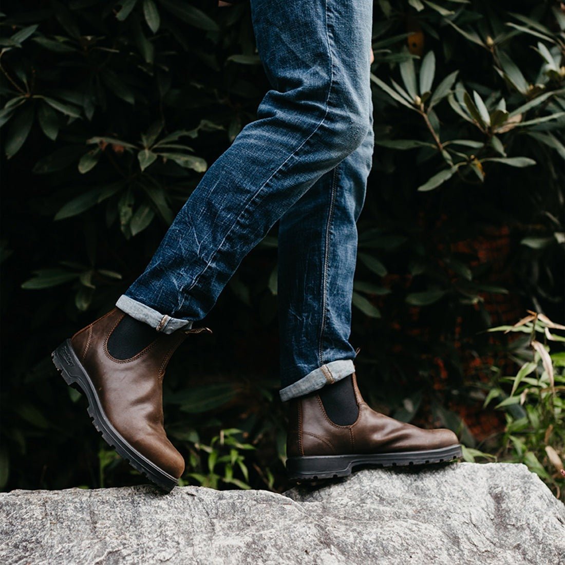 Classic 550 Chelsea Boot 1609 | Leather | Antique Brown - Boot - Blundstone