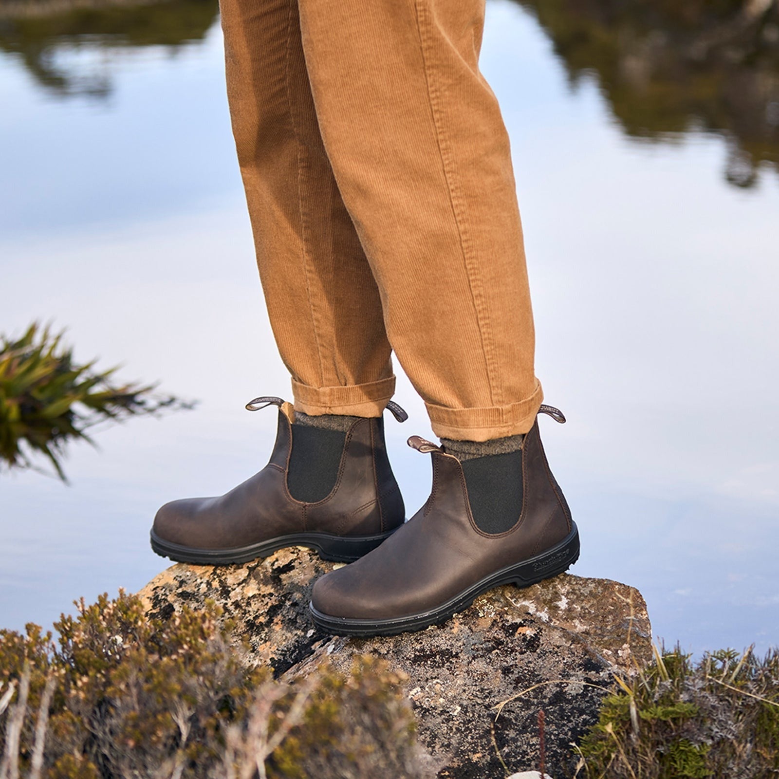 Classic Chelsea Boot 2340 | Leather | Brown - Boot - Blundstone