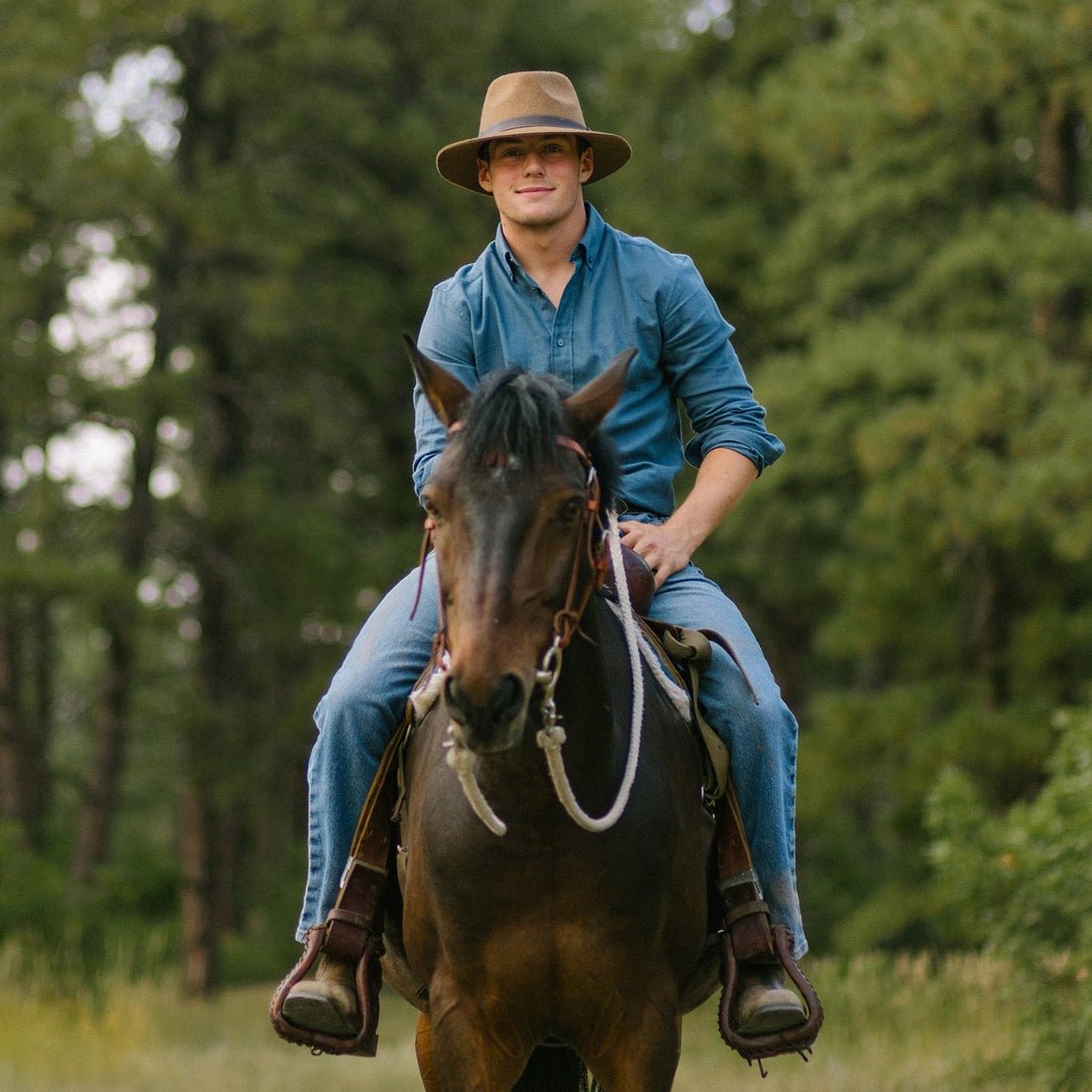 Durango Felt | Men | Chestnut - Hat - Wallaroo