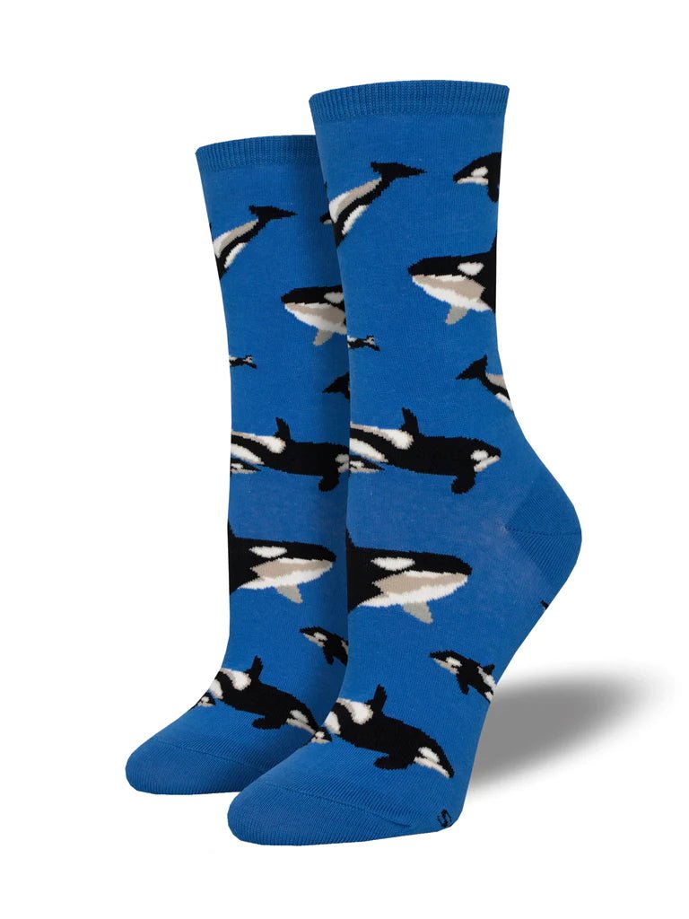 Whale Hello There | Blue - Socks - Socksmith